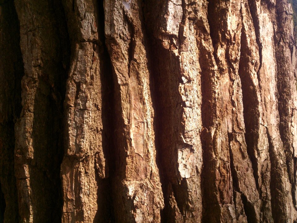 Natural life power eight