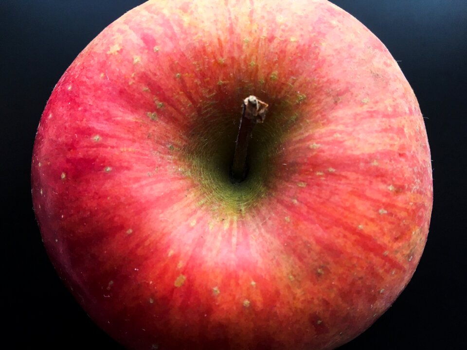 Fresh healthy organic