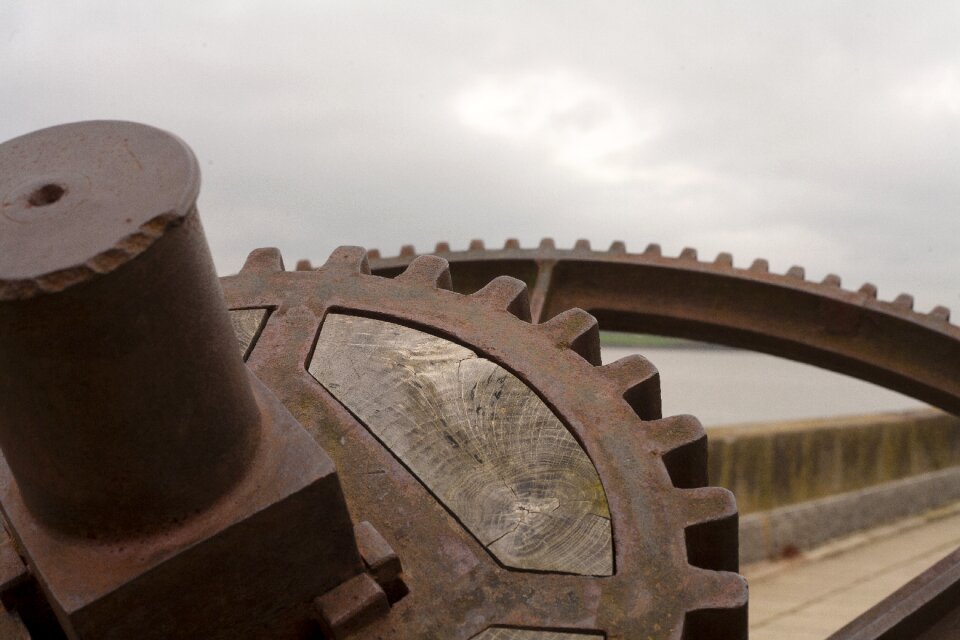 Gear cogwheel mechanism