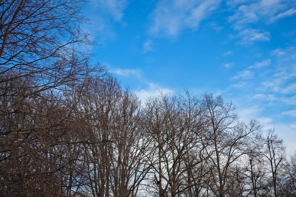 Nature landscape mood
