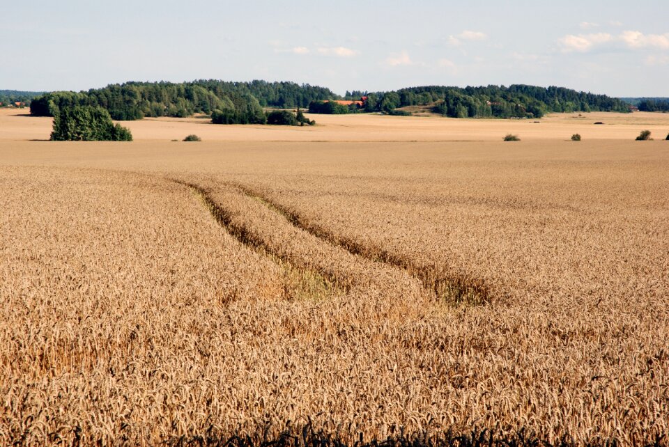 Field agriculture campaign