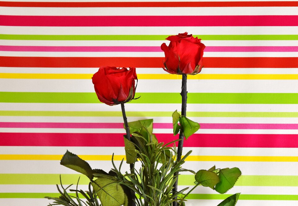 Flowers love valentine's day