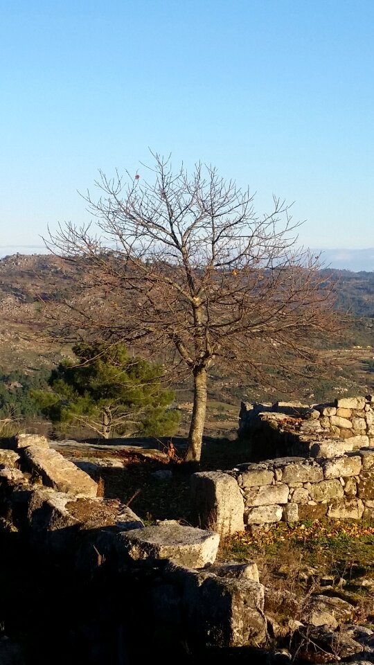 Landscape nature natural