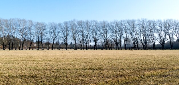 Nature bavaria landscape