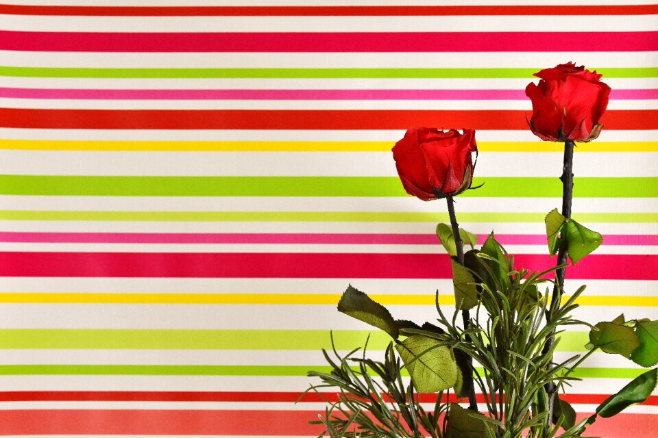 Flowers love valentine's day