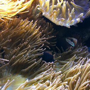 Ocean vacations underwater world