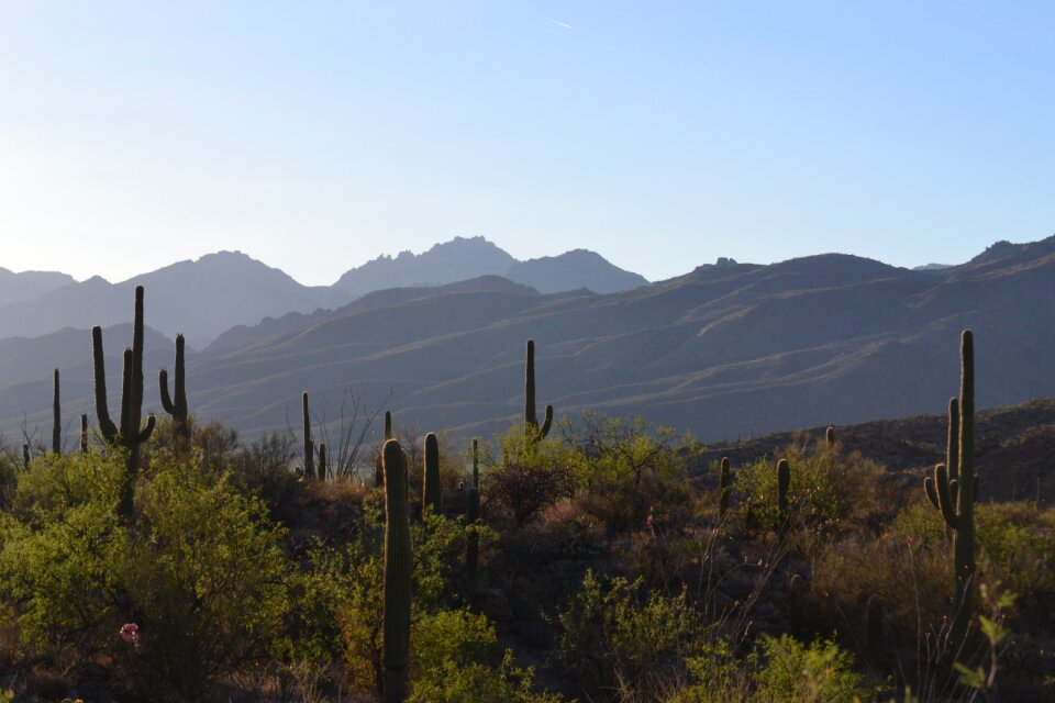 Nature mountain desert landscape