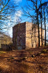 History alsace wasenbourg