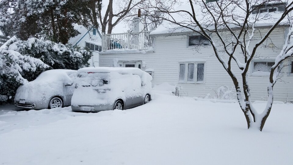 Snowfall white nature
