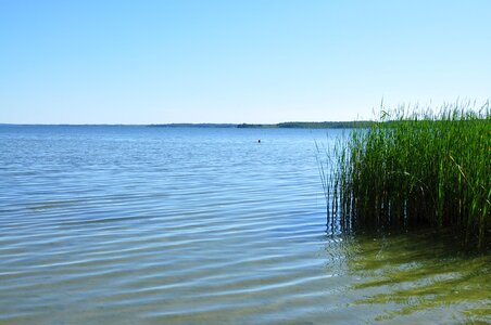 Sky reed mecklenburgische seenplatte