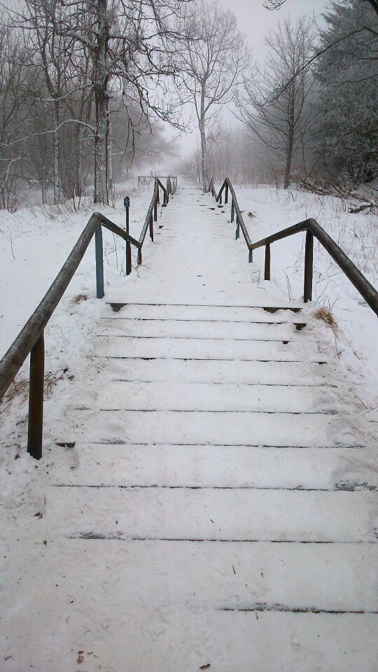 Nature landscape white