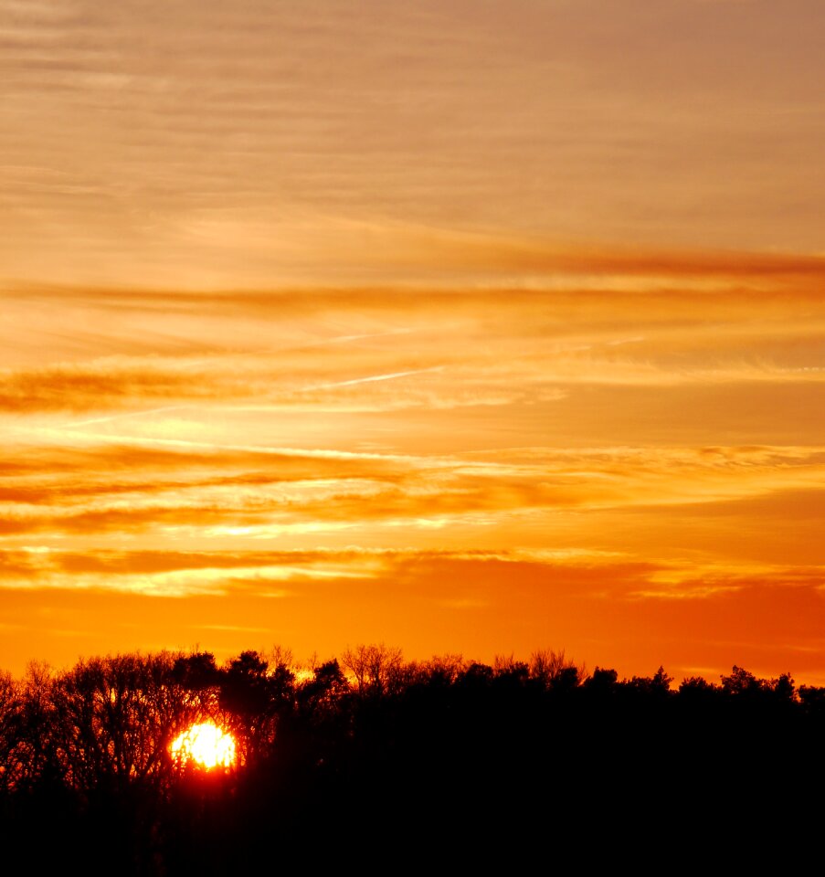 Sunset evening sky sky