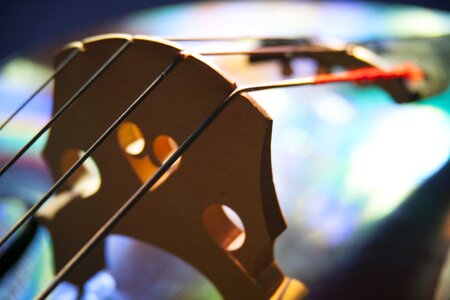 Strings bridge