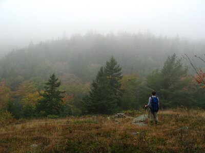 Fog adventure nature photo