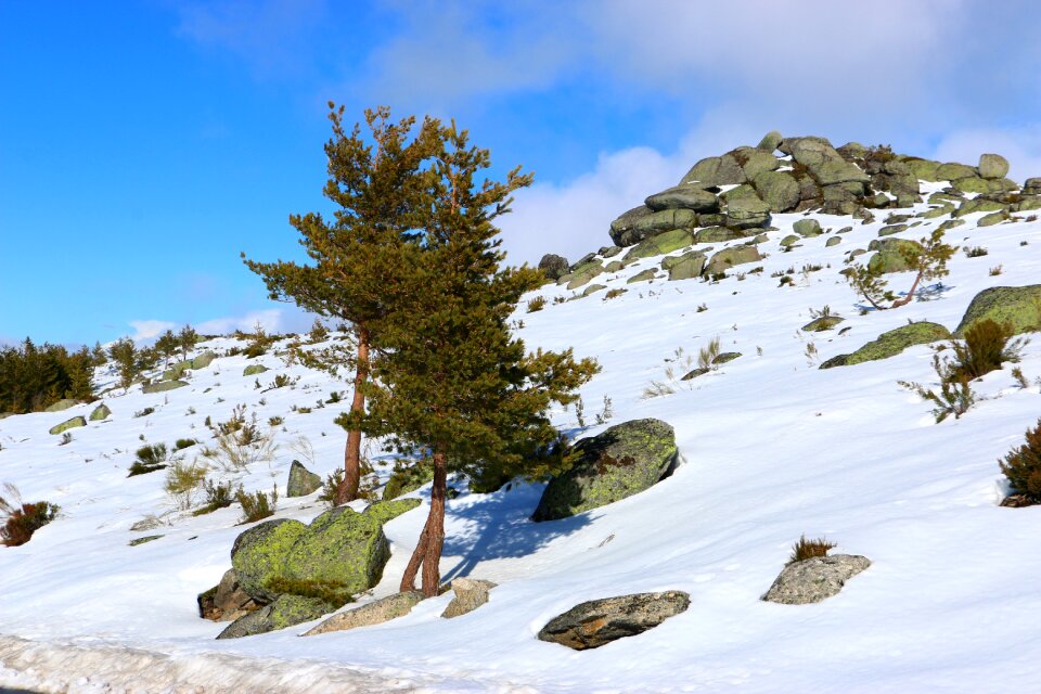 Winter mountain landscape