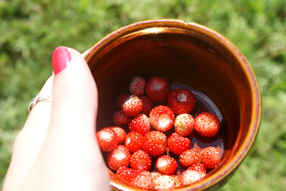 Fruit strawberries forest fruits owocujące