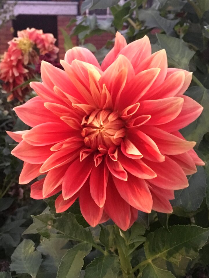 Beautiful spring