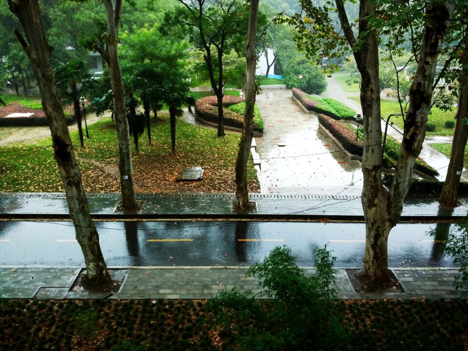Rain fresh the scenery