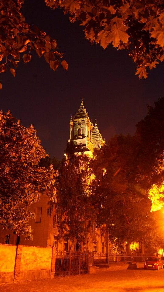 The cathedral poland foliage
