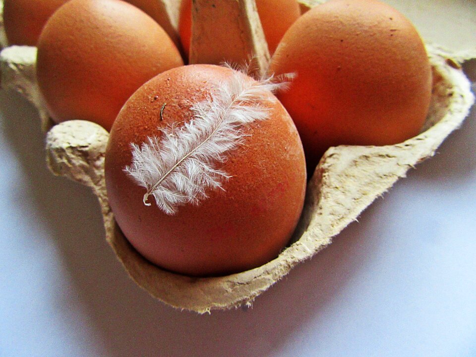 White feather box cardboard