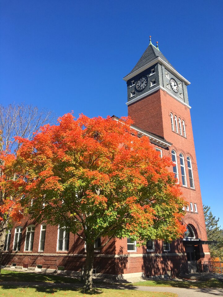 Sunshine plymouth state university plymouth