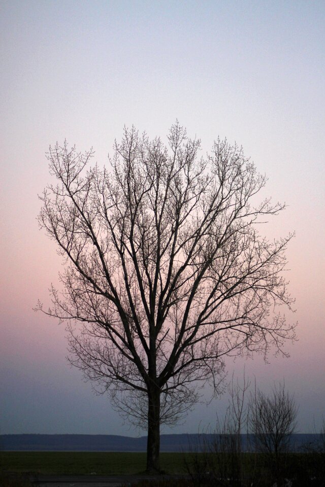 In the evening shadow naked