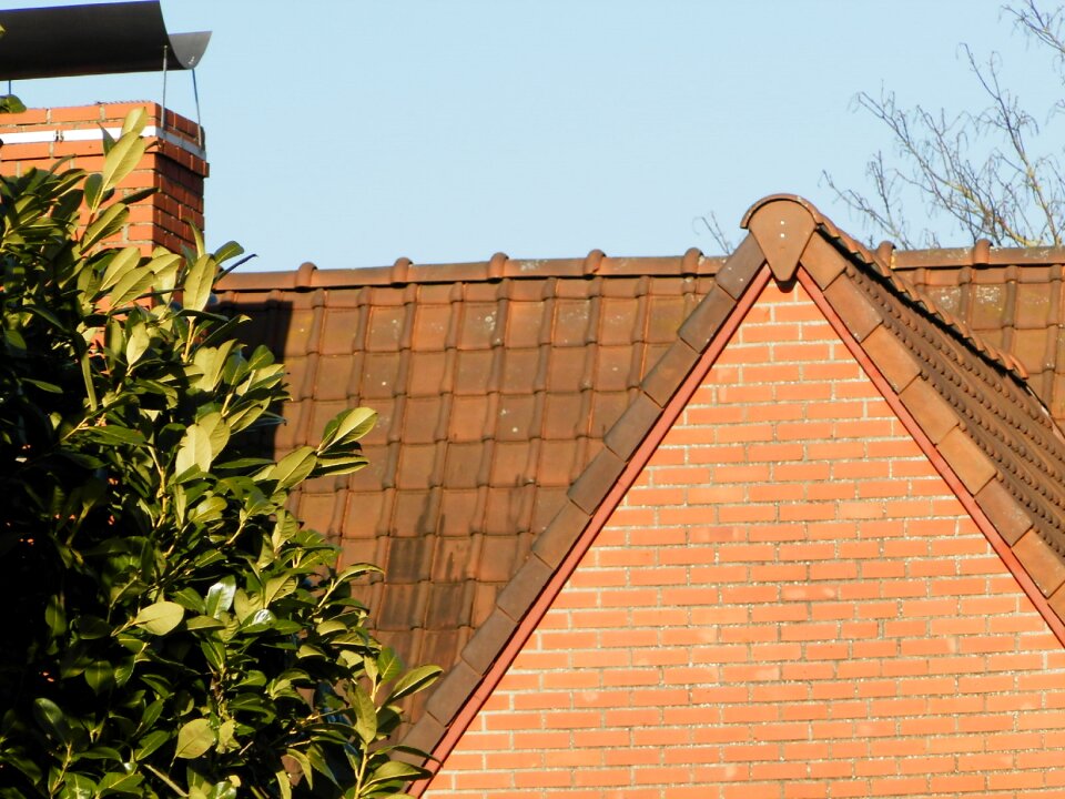 Tree fireplace tiles