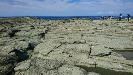 Rock senjojiki sea