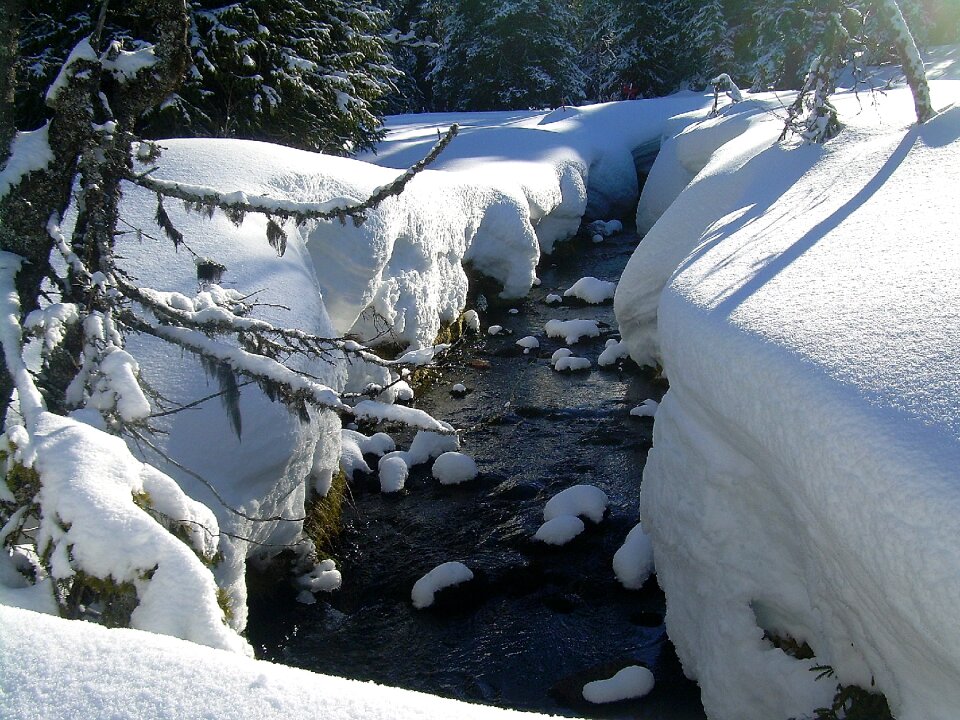 Brook snow landscape cold photo