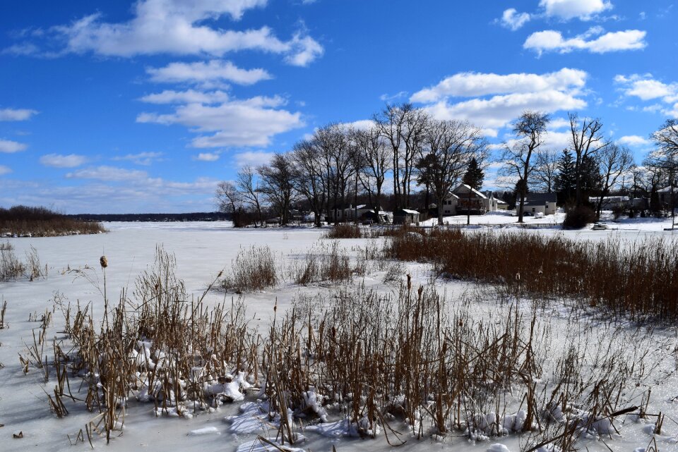 Frozen nature sky