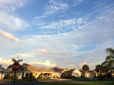 Palm trees clouds sky photo