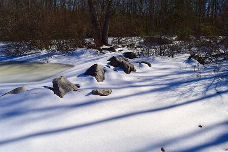Winter white nature