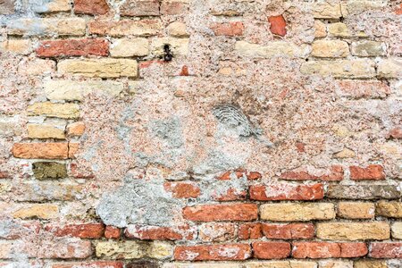 Old architecture texture