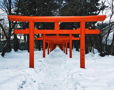 Torii snow faith photo