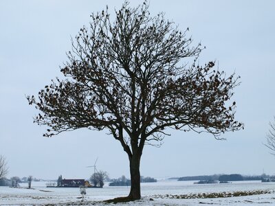 Snow outdoor december