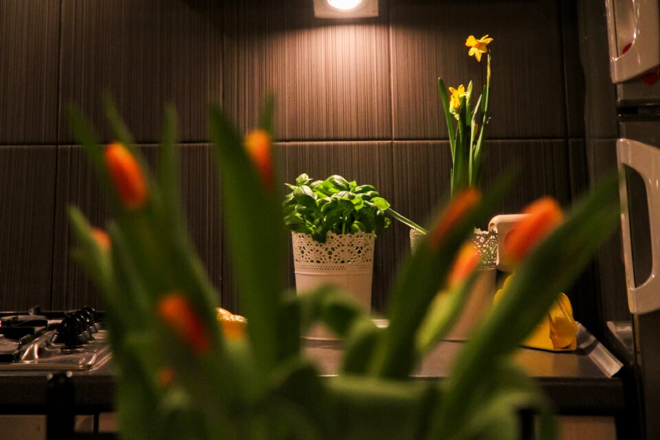 Room house residential interior
