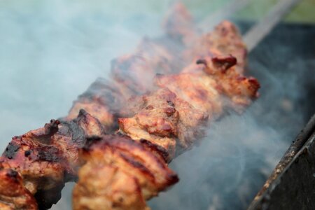 Mangal fried meat skewers photo