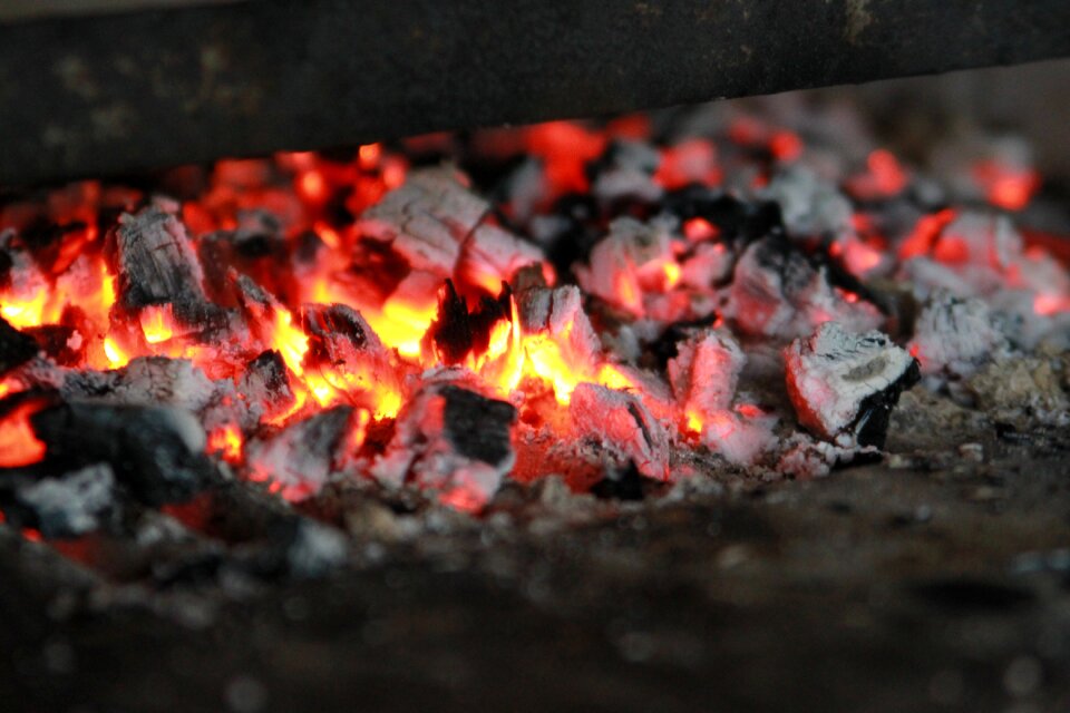 Firewood burns campfire