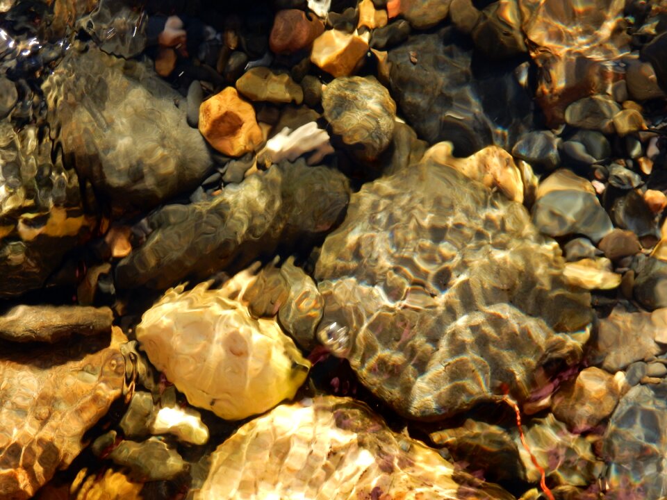 Water nature pebble