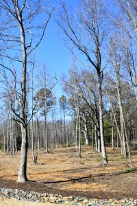 Landscape nature barren