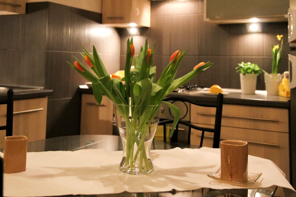Room house residential interior