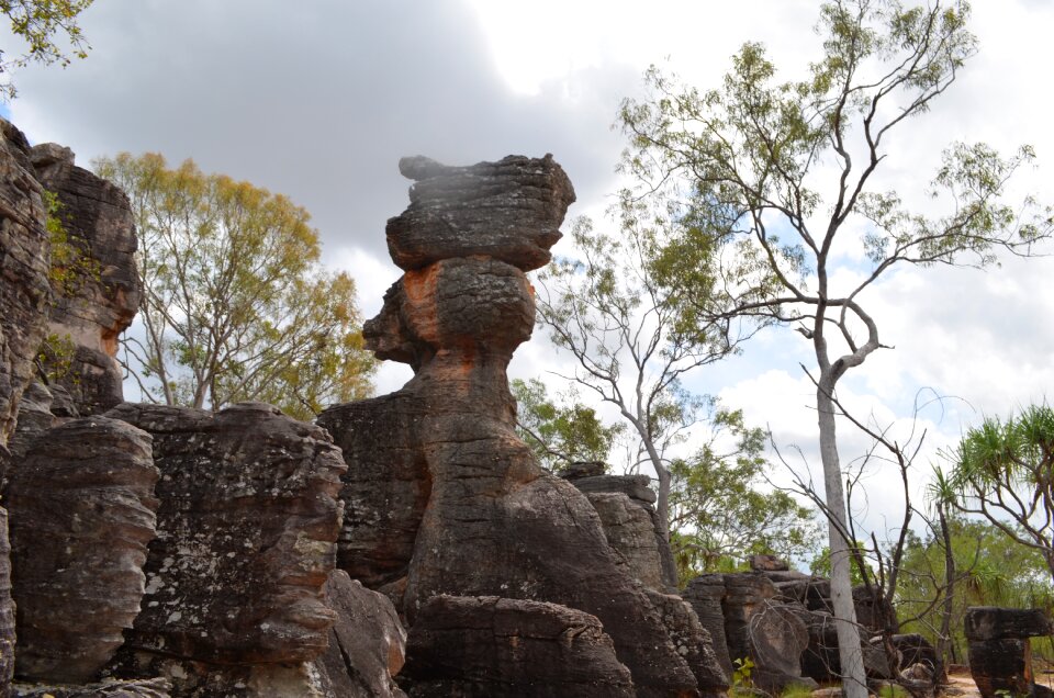 Australia litchfield national park