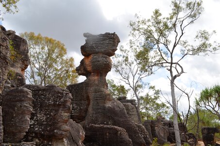 Australia litchfield national park
