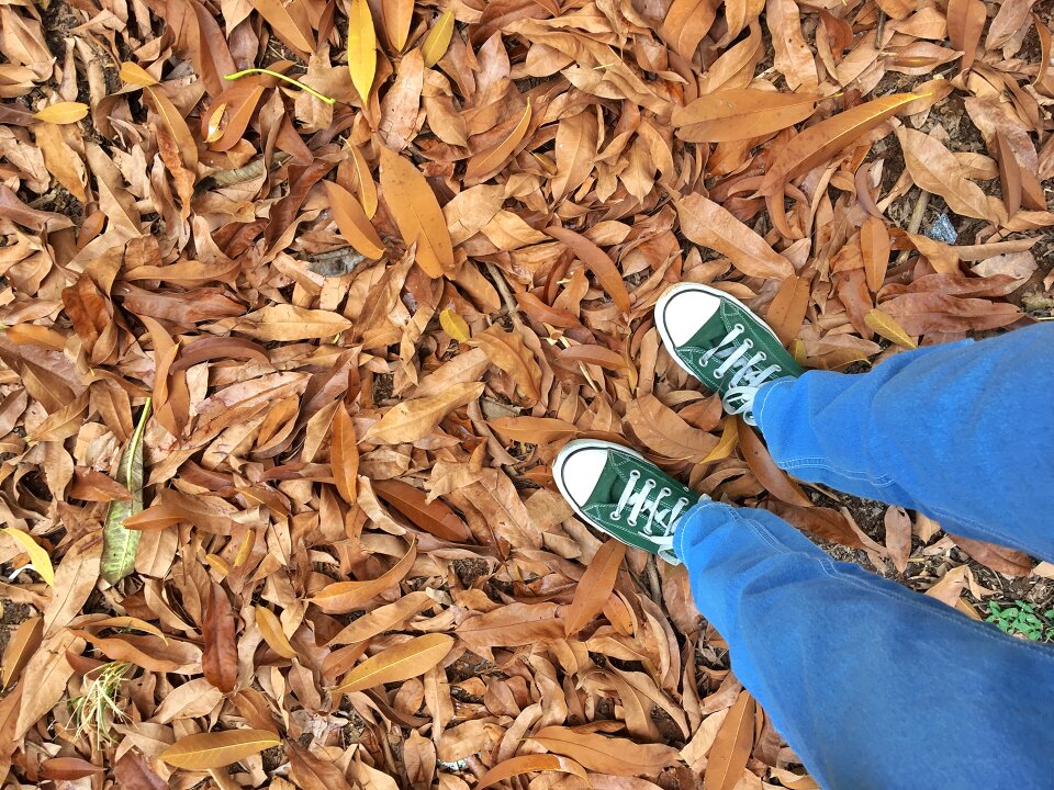 Canvas shoes converse converse all star