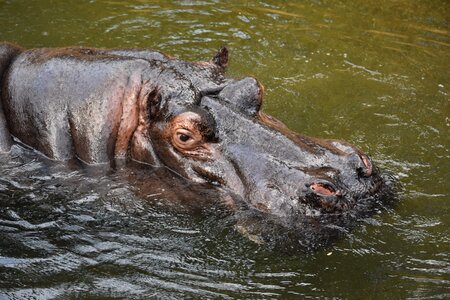 Grey water africa