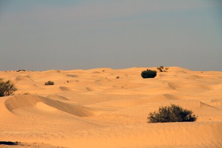 Nature landscape sand