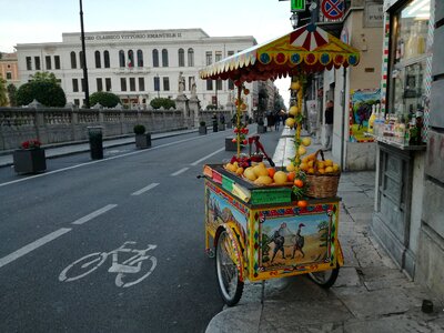 Palermo citrus fruits stall