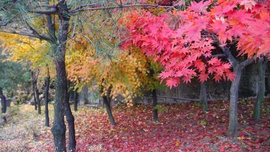 Autumn peaceful photo