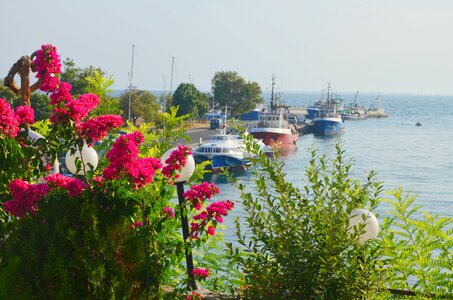 Port flowers ships