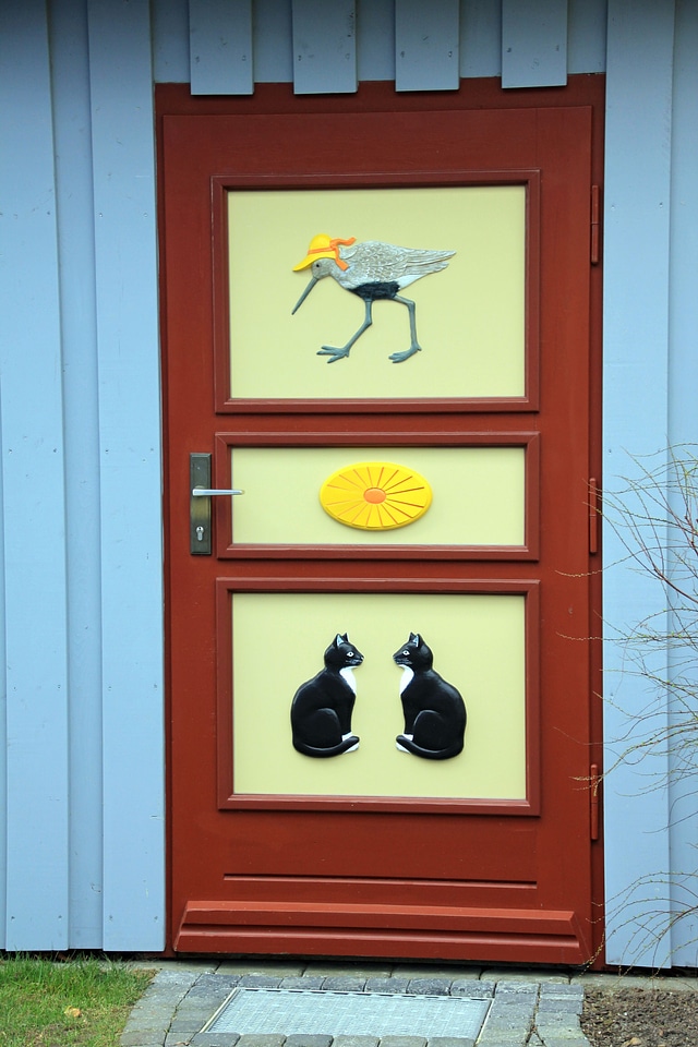 Captain door animal cat